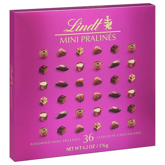 Mini Pralines, Assorted Chocolate Pralines with Premium Filling, Great for Gift Giving, 6.2 Oz Box - WORLD TIME VISITS
