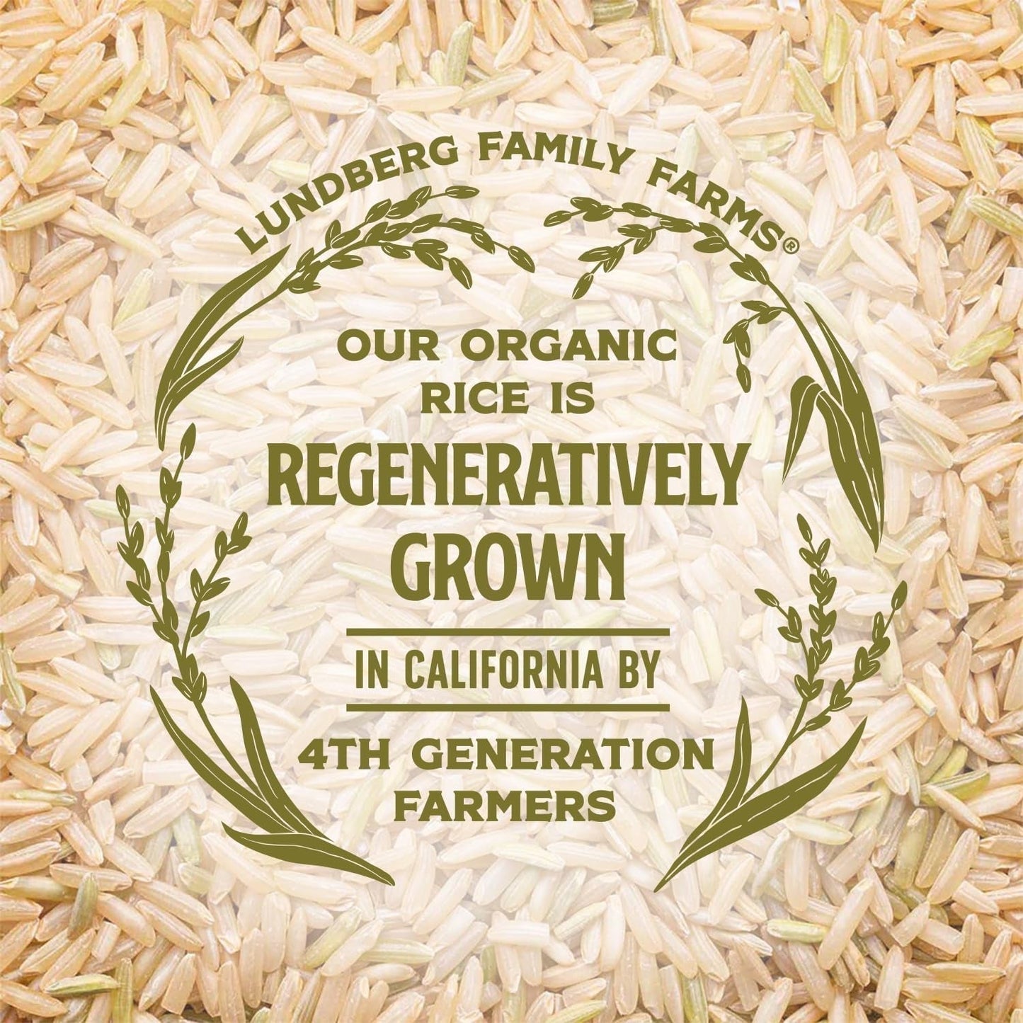 Organic Jasmine Brown Rice – Long-Grain, Fluffy & Aromatic, Responsibly Grown in California, 32 Oz