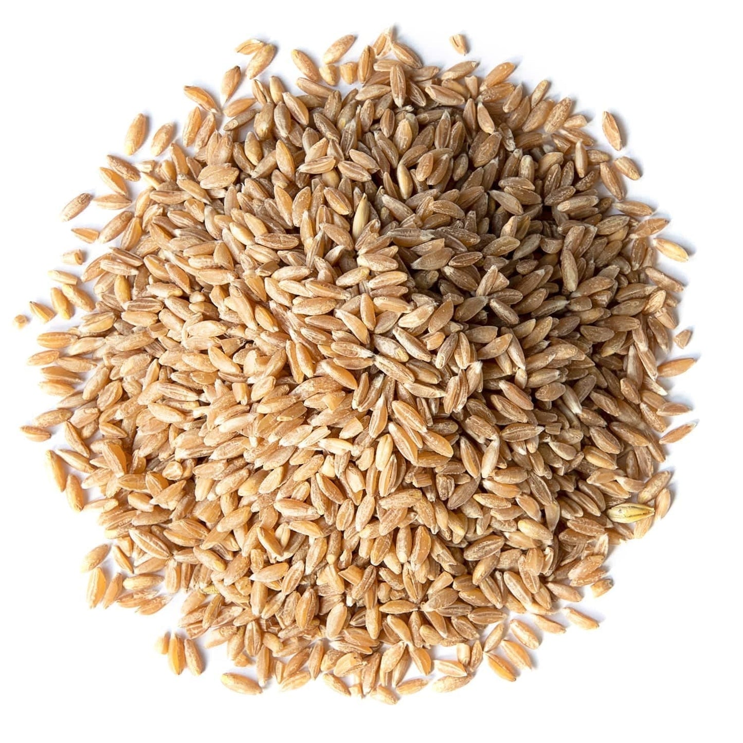Organic Spelt Berries, 8 Pounds — Non-Gmo, Whole Grain, Non-Irradiated, Vegan Superfood, Bulk, Product of the USA