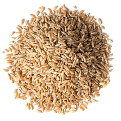 Organic Spelt Berries, 8 Pounds — Non-Gmo, Whole Grain, Non-Irradiated, Vegan Superfood, Bulk, Product of the USA
