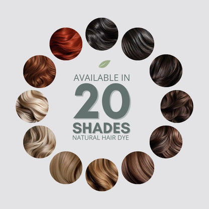 Permanent Hair Dye, 10.2 Light Ash Blonde, Ammonia and Paraben Free, up to 100% Gray Hair Coverage, Long Lasting, Vegan, Cruelty Free