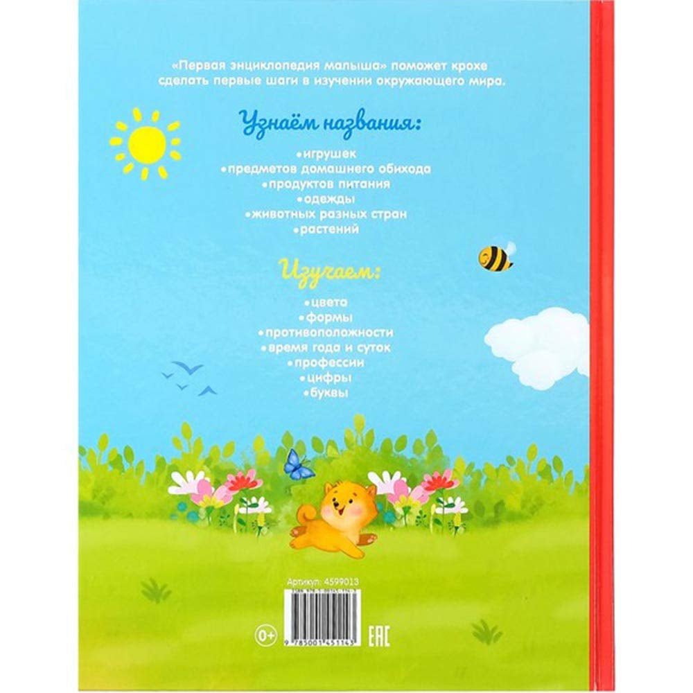 Pervaya Encyklopedia Malysha - the First Encyclopedia of the Baby in Hardcover - Первая Энциклопедия Малыша В Твердом Переплете