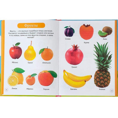 Pervaya Encyklopedia Malysha - the First Encyclopedia of the Baby in Hardcover - Первая Энциклопедия Малыша В Твердом Переплете
