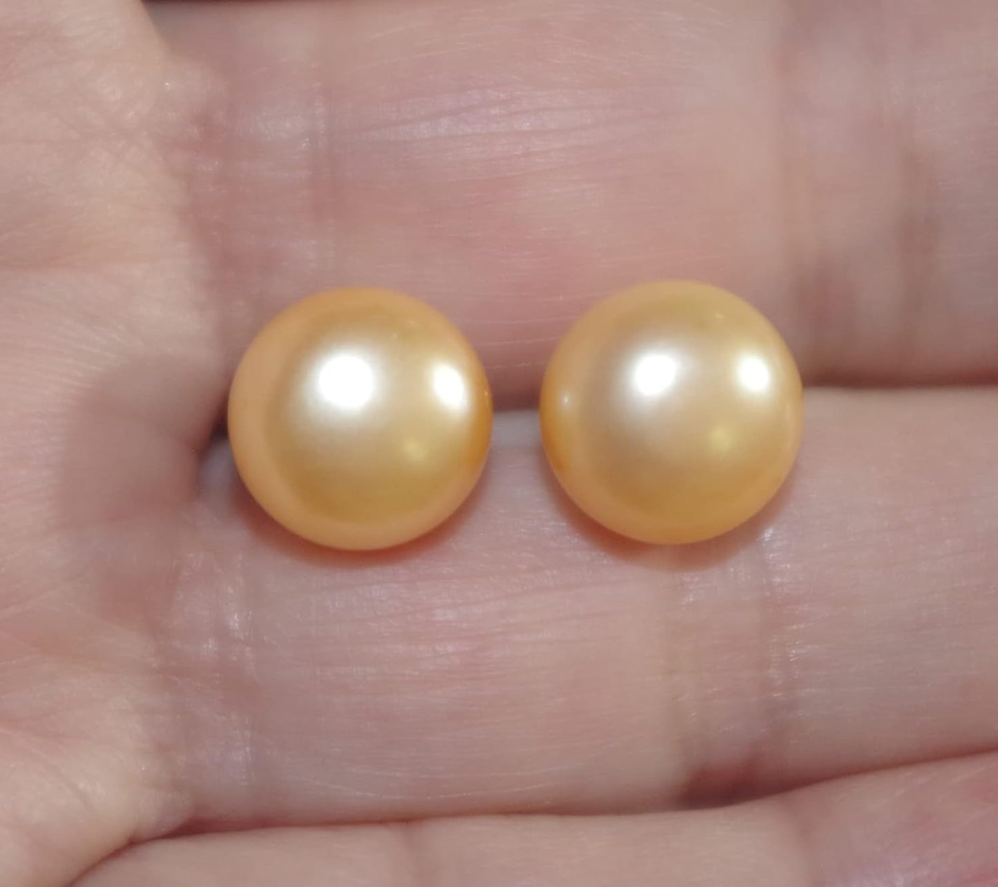 Quality Golden Champagne Pearl Semi round Dome Button 10 MM Stud Earrings 14K Gold Filled