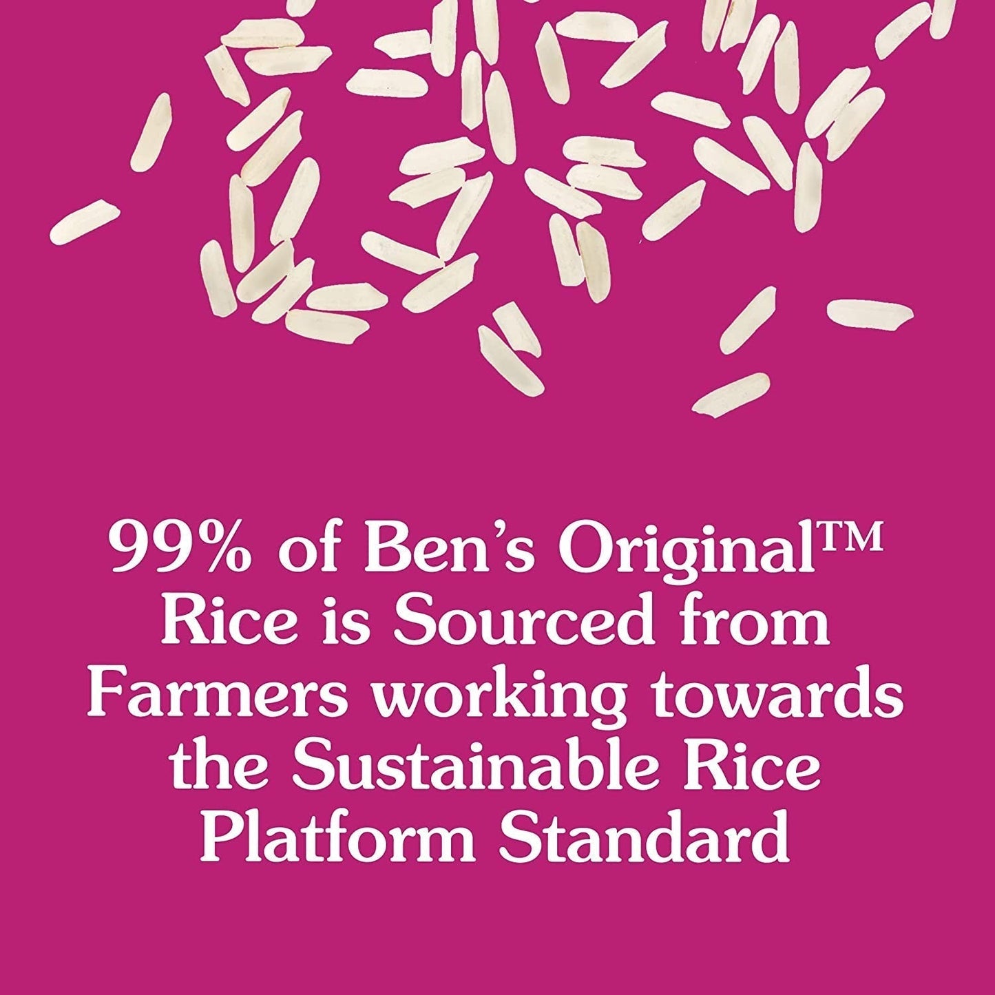 Ready Rice Long Grain White Rice, 8.8 Oz Pouch