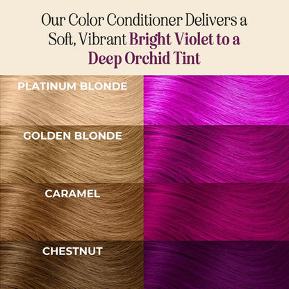Semi Permanent Hair Color | Color Depositing Conditioner | Garnet Violet Hair Dye | No Bleach & No Peroxide Temporary Tint for Women & Men | Vegan, Ammonia Free, & Sulfate Free | Ready to Use, 6Oz